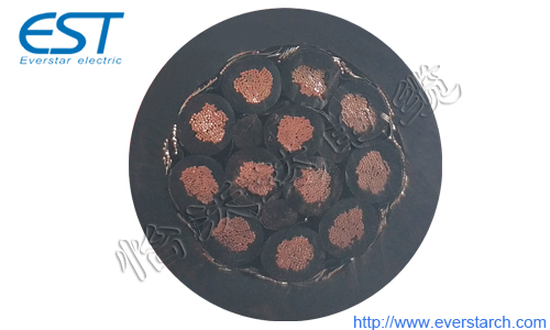 FRC10 12X5.0mm² 柔性机器人电缆